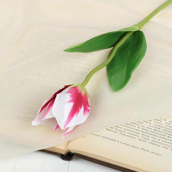 Цветок искусственный "Тюльпан Хавран" 4*34 см, бело-красный