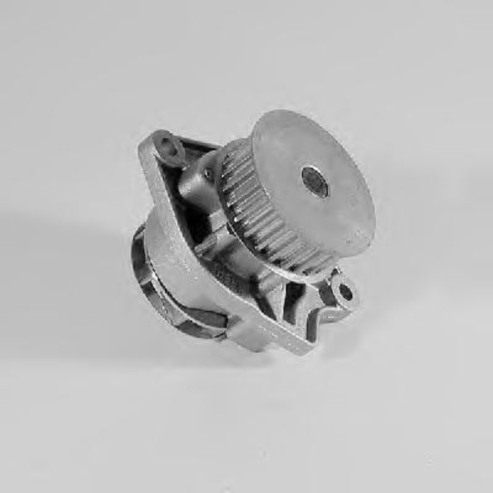 Насос водяной HEPU P557