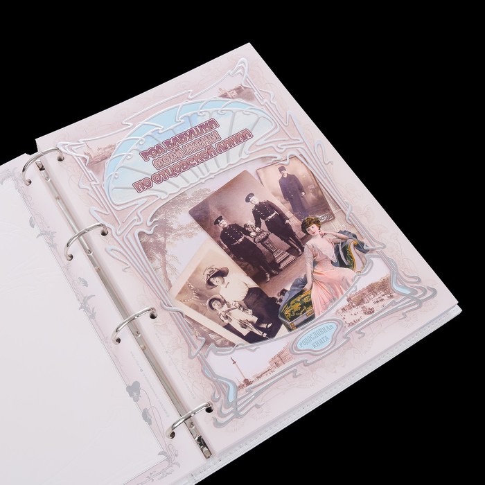 Родословная книга-альбом "Свадебная", 108 листов, картон, эко кожа, тиснение