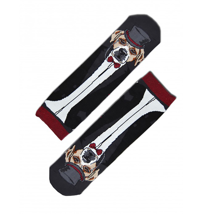 Носки мужские, цвет тёмно-серый, размер 27-29