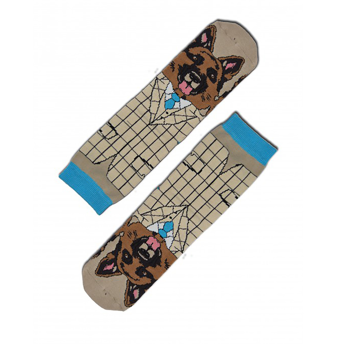 Носки мужские, цвет серо-бежевый, размер 27-29