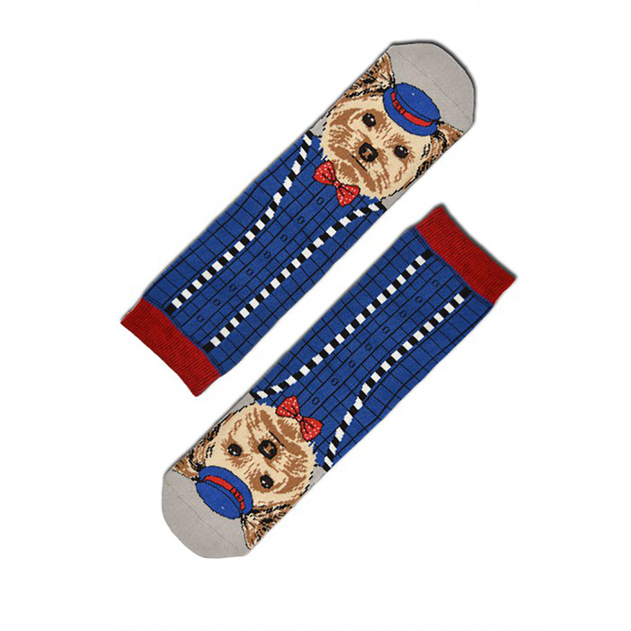 Носки мужские, цвет светло-серый, размер 27-29