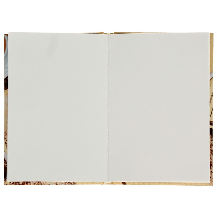 Бизнес-блокнот (скетчбук) А6, 80 листов Art Coffee, твёрдая обложка, блок 100 г/м2