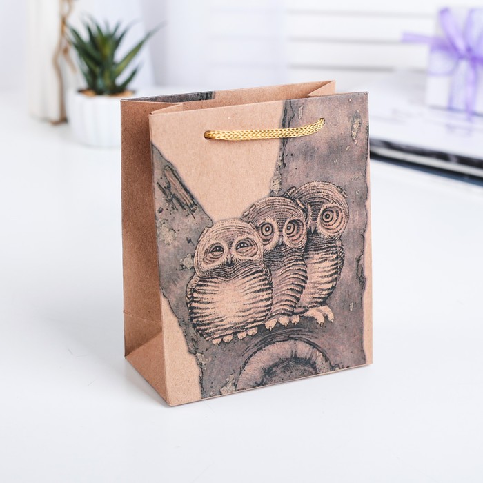 Пакет крафт "Совы", 19 х 8 х 24 см