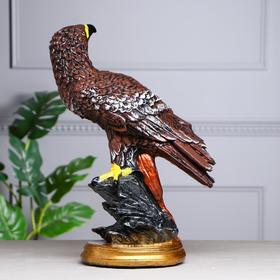 

Копилка "Сокол", разноцветная, 47 см,