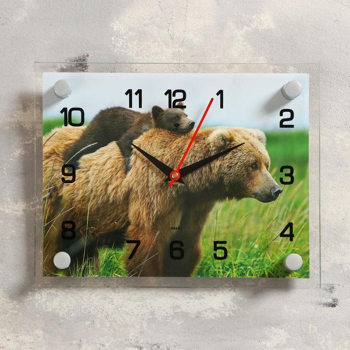 Часы настенные прямоугольные "Медведица с медвежонком", 20х26 см