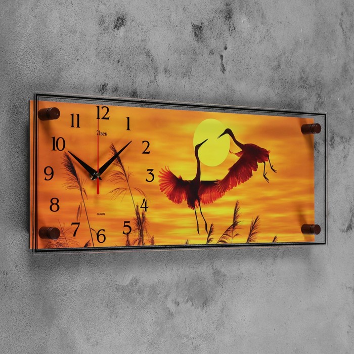 Часы настенные прямоугольные "Цапли", 20х50 см