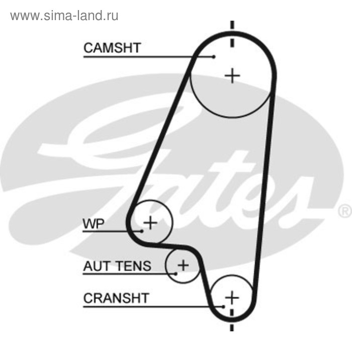 фото Ремень грм gates 5310xs