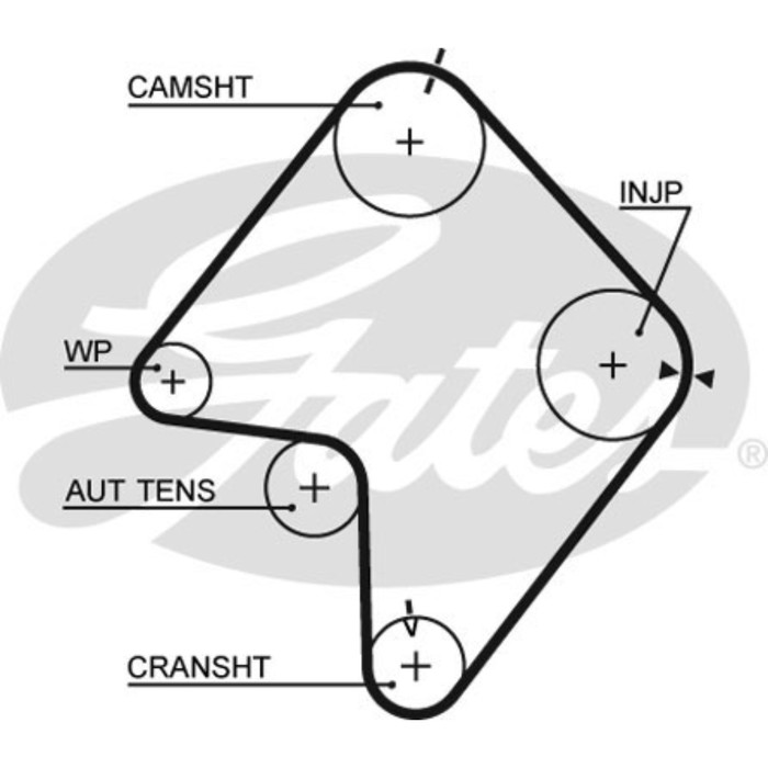 Ремень ГРМ Gates 5355XS