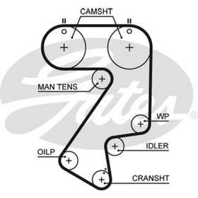 

Ремень ГРМ Gates 5404XS
