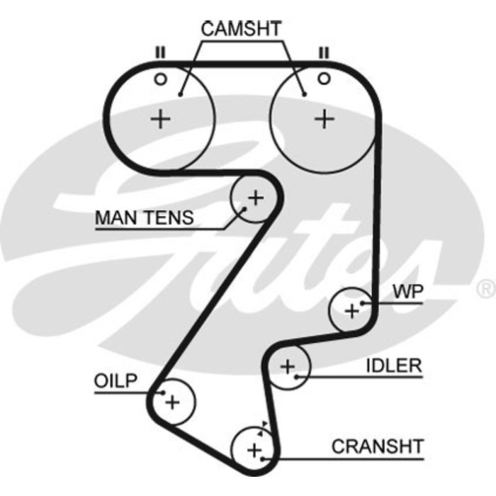 Ремень ГРМ Gates 5404XS