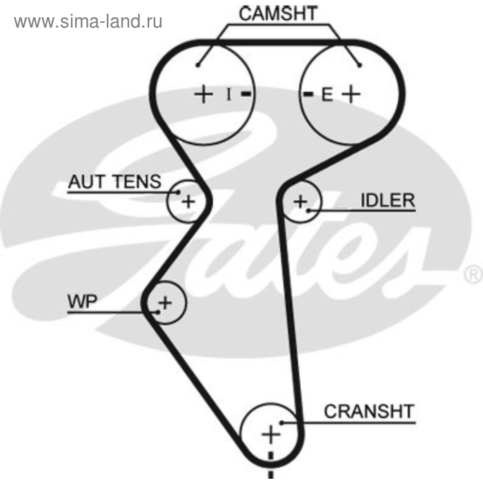 фото Ремень грм gates 5419xs