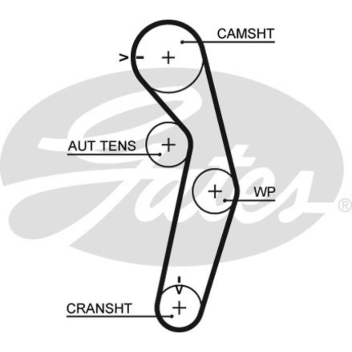 Ремень ГРМ Gates 5445XS