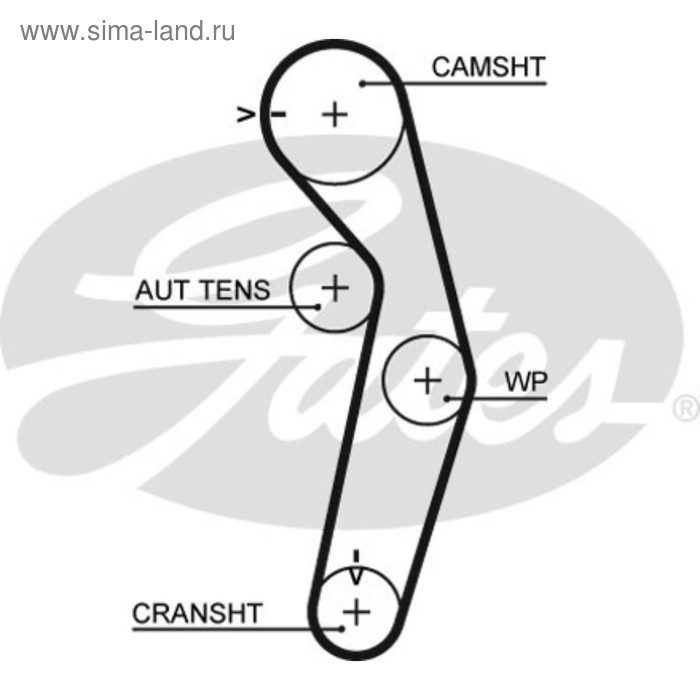 фото Ремень грм gates 5445xs
