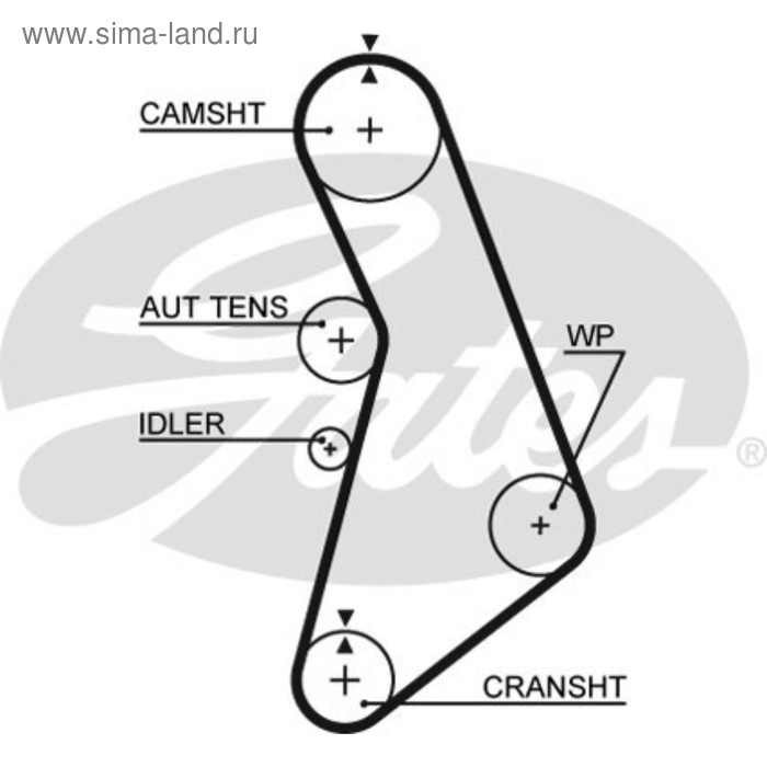 фото Ремень грм gates 5491xs