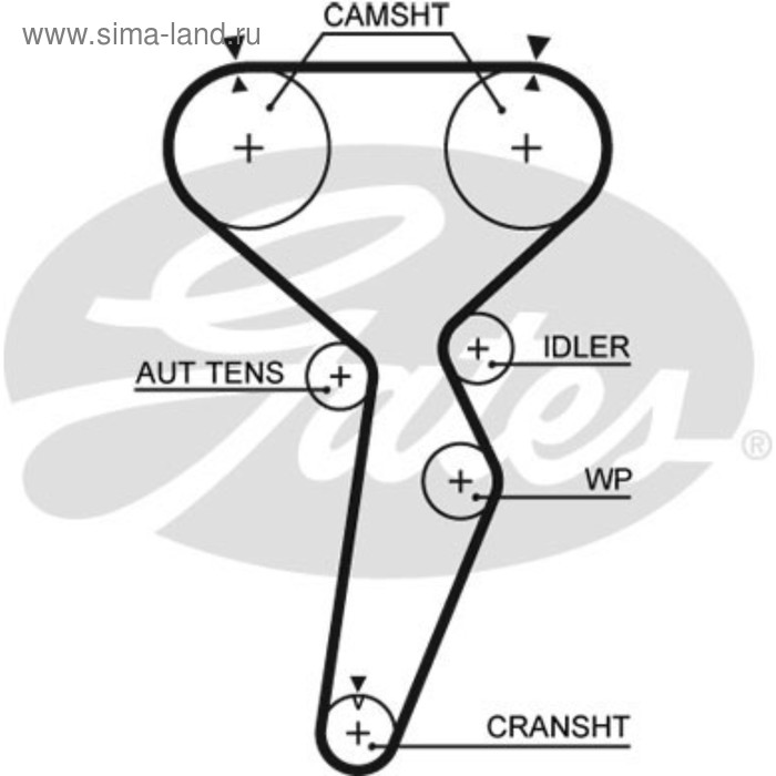 фото Ремень грм gates 5514xs