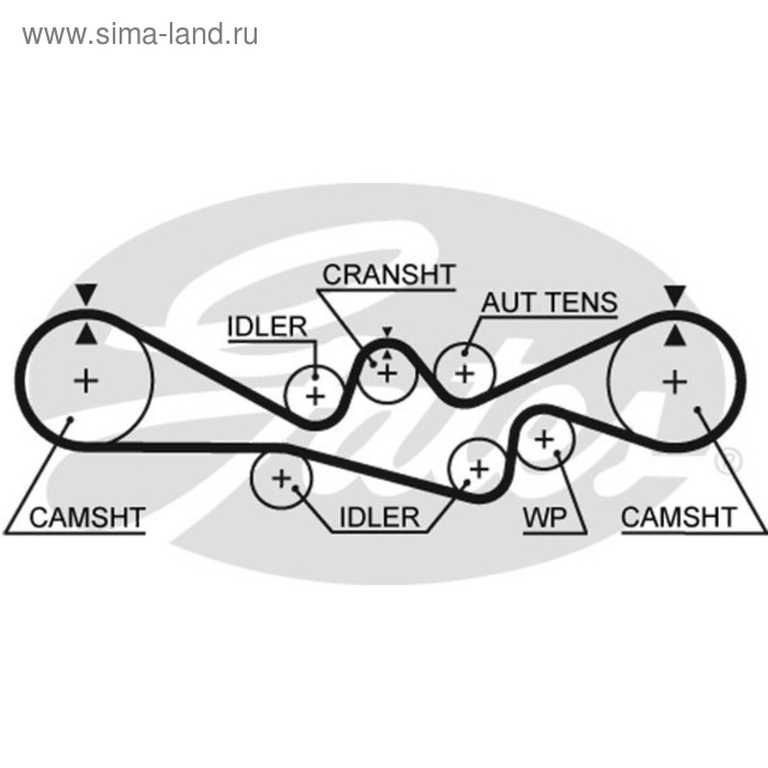 фото Ремень грм gates 5537xs