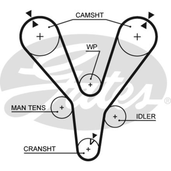 Ремень ГРМ Gates 5555XS