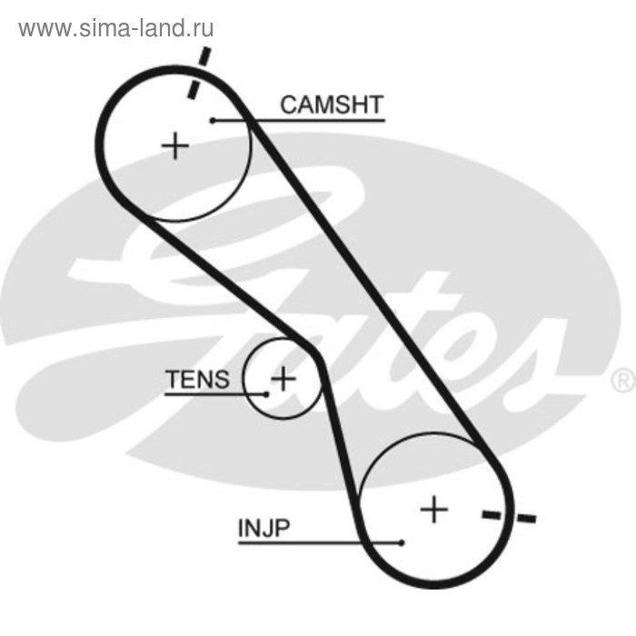 фото Ремень грм gates 5560xs