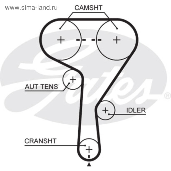 фото Ремень грм gates 5603xs