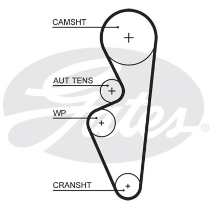 Ремень ГРМ Gates 5670XS