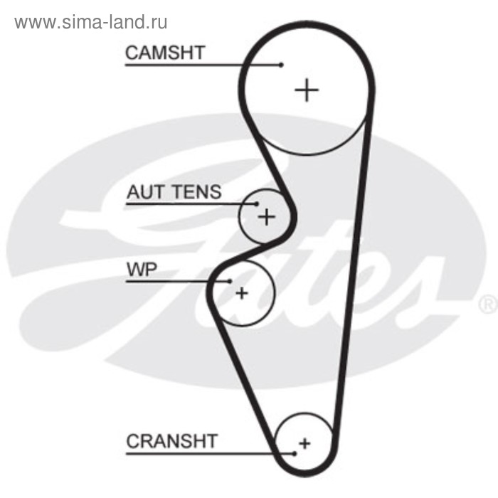 фото Ремень грм gates 5670xs