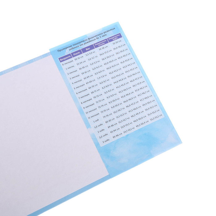 Обложка для медицинской карты "Панда"