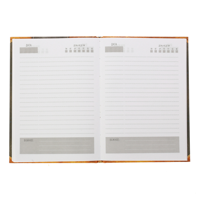 Ежедневник "Упорство приводит к цели", твёрдая обложка, А5, 80 листов