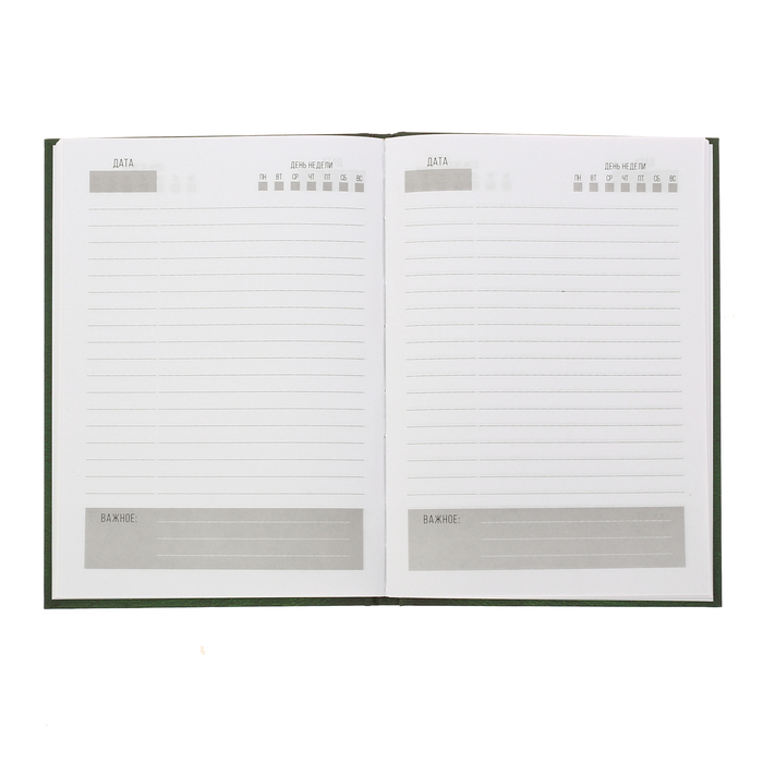 Ежедневник "На страже закона", твёрдая обложка, А5, 80 листов