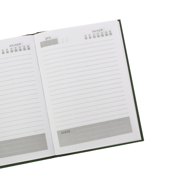 Ежедневник "На страже закона", твёрдая обложка, А5, 80 листов