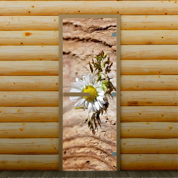 Дверь для бани и сауны "Ромашка", 190 х 70 см, с фотопечатью 8 мм Добропаровъ