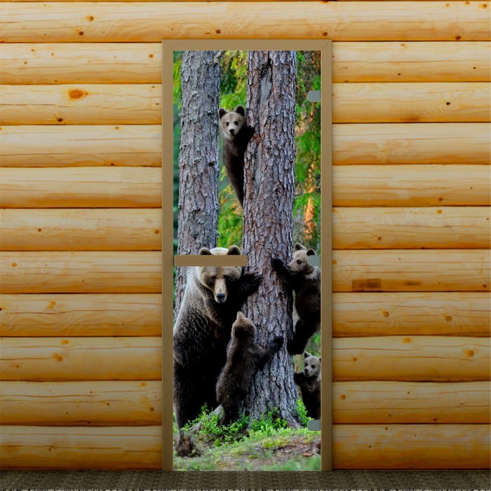 Дверь для бани и сауны "На прогулке", 190 х 70 см, с фотопечатью 8 мм Добропаровъ