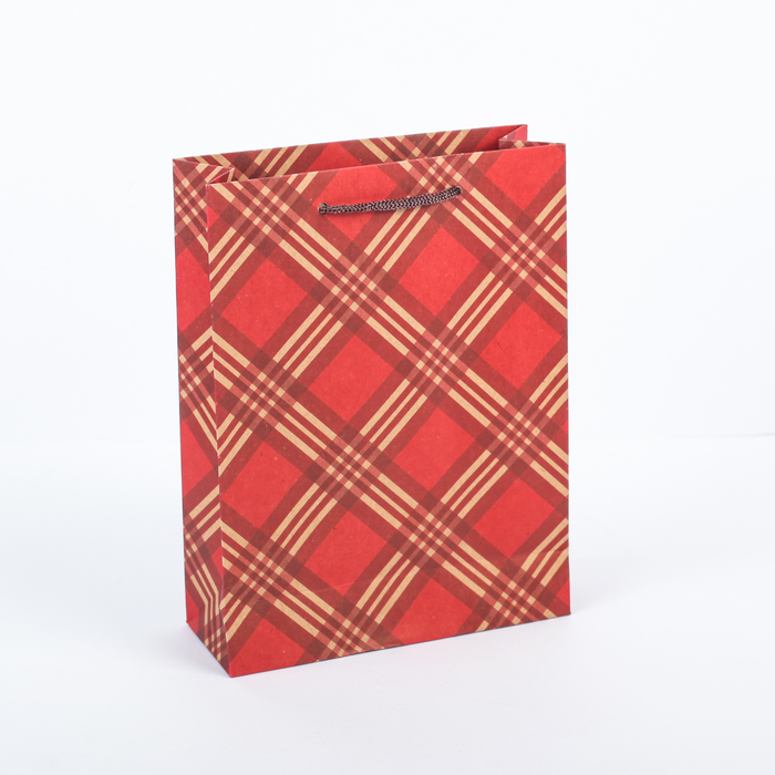 Пакет крафт "Красная клетка", 16 х 6 х 21 см