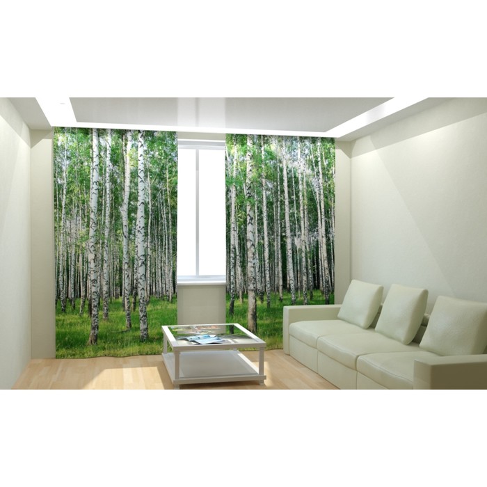 Фотошторы "Берёзовая роща", размер 150х260 см, блэкаут
