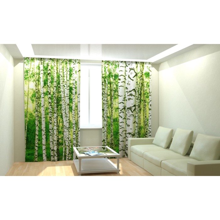 Фотошторы "Берёзовый лес", размер 150х260 см, габардин