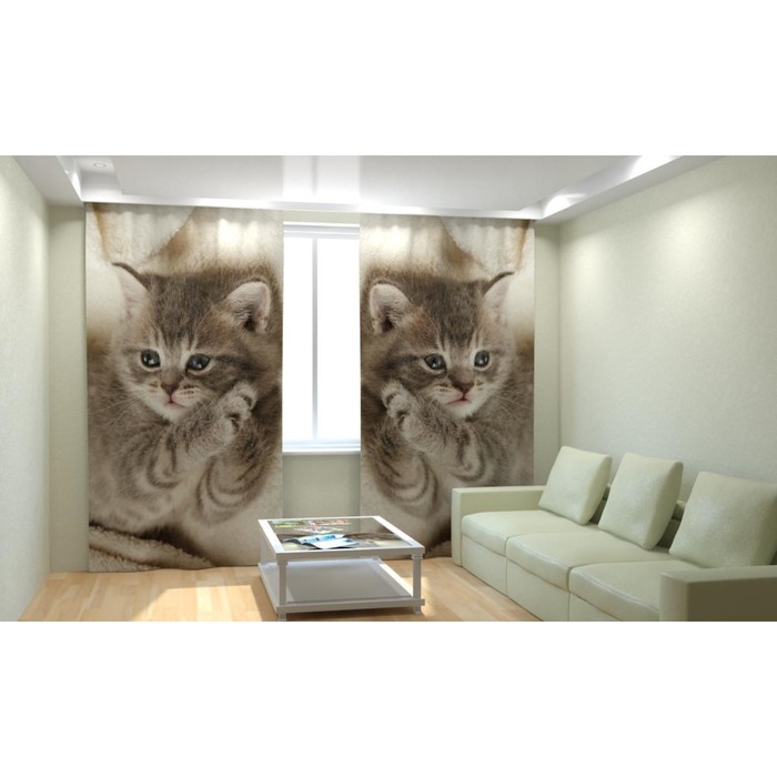 Фотошторы «Дымчатый котёнок», размер 150х260 см, габардин