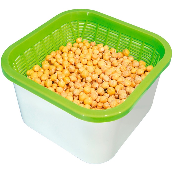 Проращиватель для пищевых проростков «Здоровья клад»