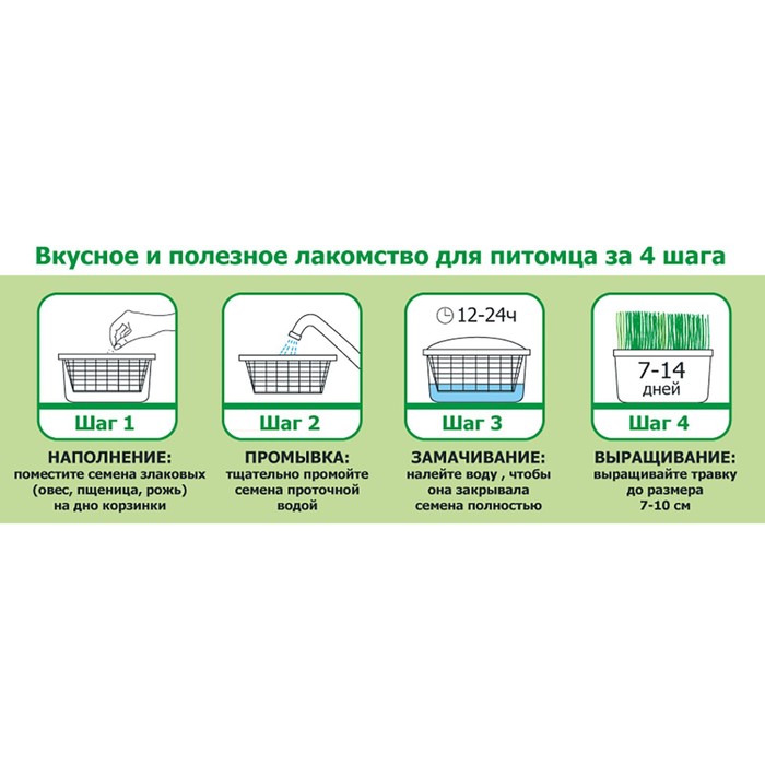 Проращиватель для зелёной травки