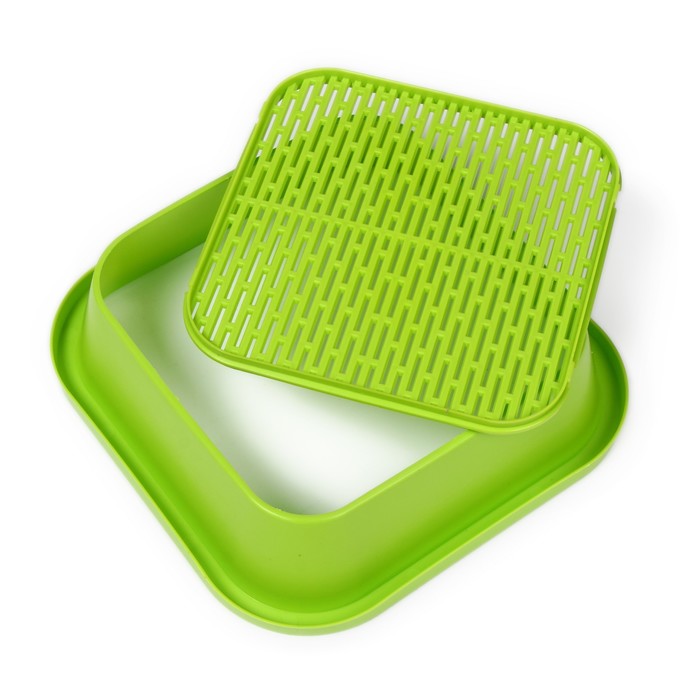 Проращиватель семян, 2-модульный, «Здоровья клад»