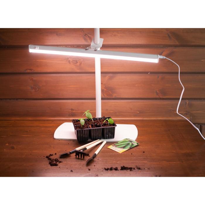 Фитосветильник «Здоровья Клад», 9 Вт