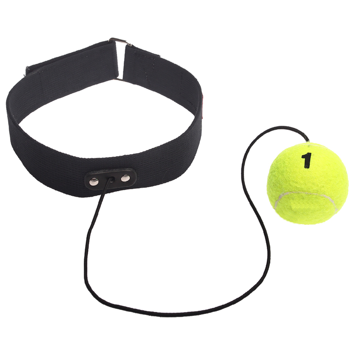 Тренажер Fight Ball (Боевой мяч) 70 см