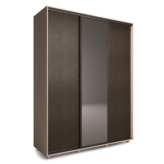 Шкаф-купе Удачный 1 зеркало 2100х600х2300 Венге Светлый/Венге Темный
