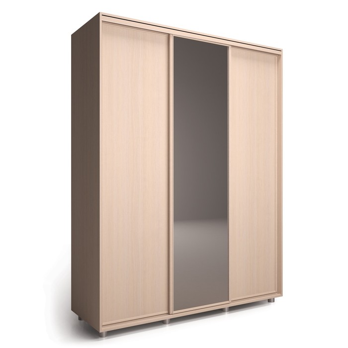 Шкаф-купе Удачный 1 зеркало 2400х600х2300 Венге Светлый