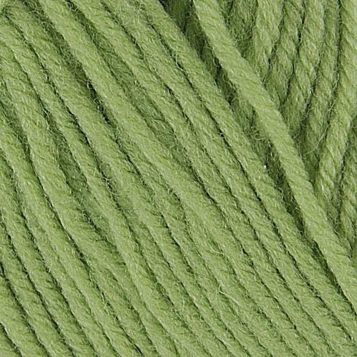 Пряжа "Элегантная" 100% мериносовая шерсть 250м/100гр (342-Св.горох)