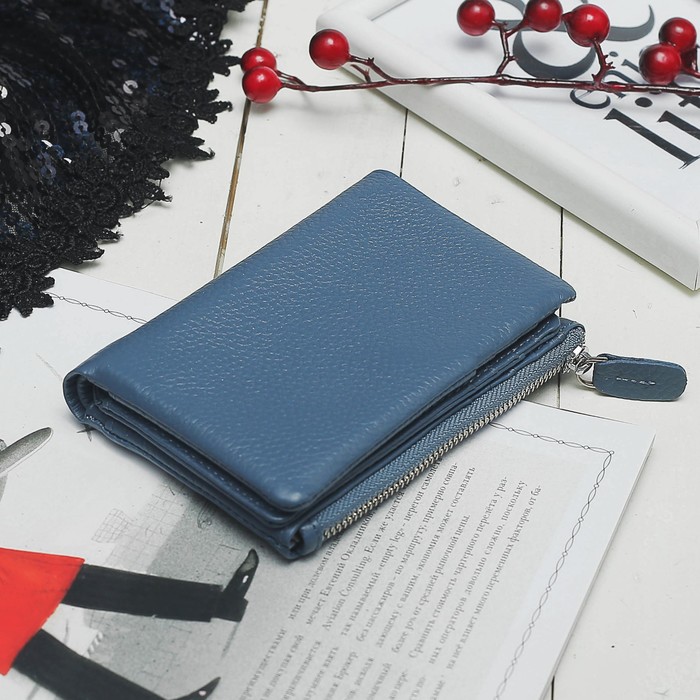 Кошелёк женский, отдел, для карт, для монет, цвет голубой