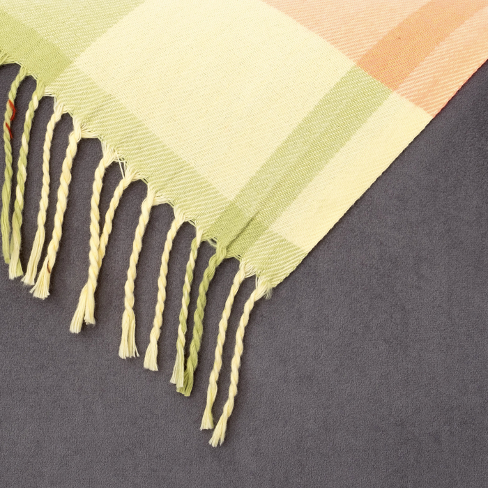 Плед Classic 112401 "Клетка" 160х220 см, 950 г/м2, п/э 100%