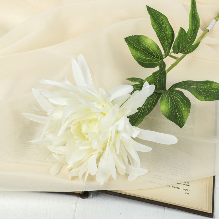 Цветы искусственные "Георгин тонколистый" 19*57 см, белый