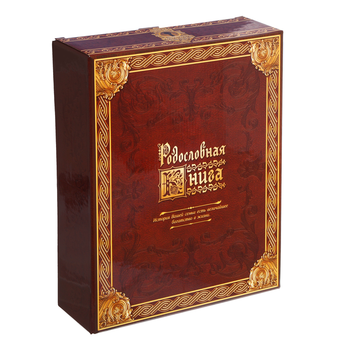 Родословная книга из натуральной кожи "Древо"