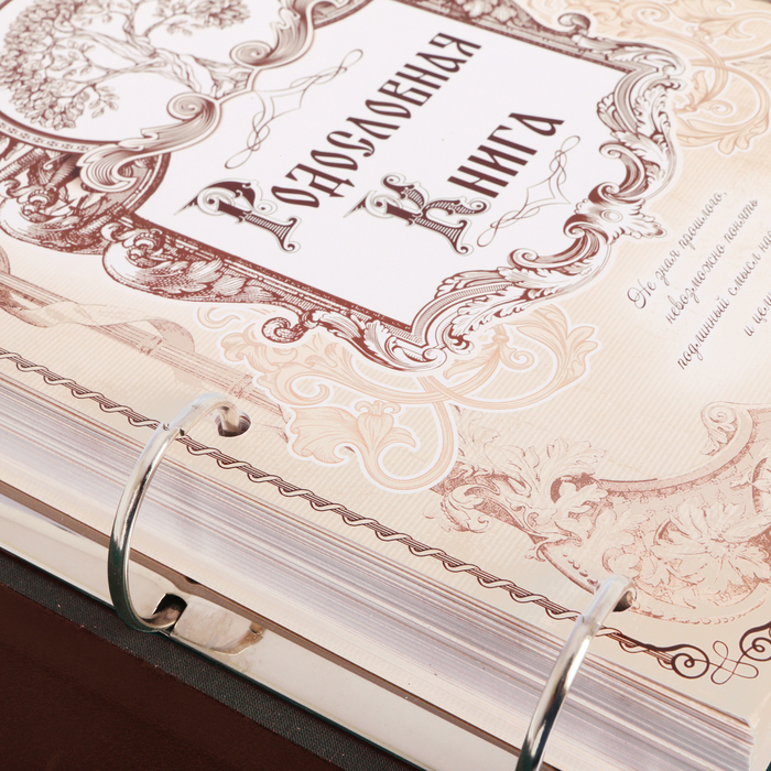 Родословная книга из натуральной кожи "Древо"