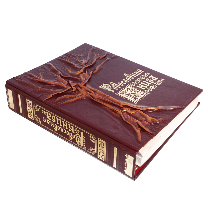 Родословная книга из натуральной кожи "Древо"